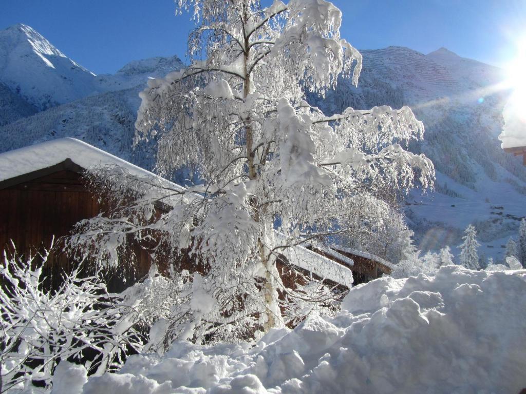 Hotel Cuntera Curaglia Eksteriør billede
